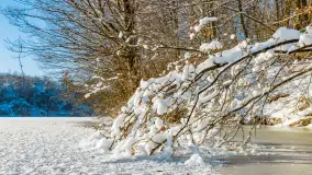 Zimowa rzeka Dajna niedaleko Wilkowa, styczeń 2024 r. - zdjęcie 14