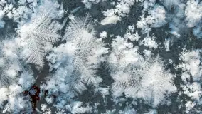 Zimowa rzeka Dajna niedaleko Wilkowa, styczeń 2024 r. - zdjęcie 36