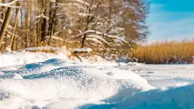 Zimowe jezioro Gołdopiwo w okolicach Przerwanek, styczeń 2024 r. - zdjęcie 8