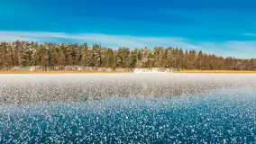 Zimowe jezioro Gołdopiwo w okolicach Przerwanek, styczeń 2024 r. - zdjęcie 19