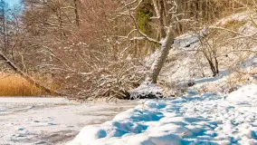 Zimowe jezioro Gołdopiwo w okolicach Przerwanek, styczeń 2024 r. - zdjęcie 16