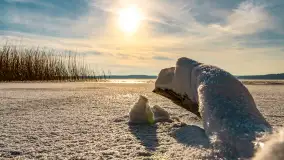 Zimowe jezioro Gołdopiwo w okolicach Przerwanek, styczeń 2024 r. - zdjęcie 30