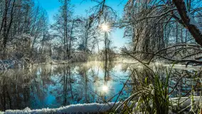 Zima nad rzeką Dajna, witajcie na bajecznych Mazurach, styczeń 2024 r. - zdjęcie 12