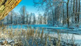 Zima nad rzeką Dajna, witajcie na bajecznych Mazurach, styczeń 2024 r. - zdjęcie 28