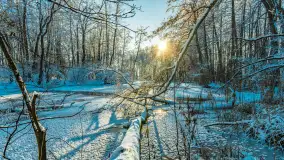 Zima nad rzeką Dajna, witajcie na bajecznych Mazurach, styczeń 2024 r. - zdjęcie 22