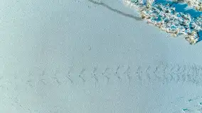 Zima nad rzeką Dajna, witajcie na bajecznych Mazurach, styczeń 2024 r. - zdjęcie 43