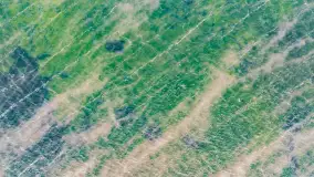 Zima nad jeziorem Dargin, styczeń 2024 r. - zdjęcie 17