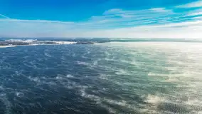 Zima nad jeziorem Dargin, styczeń 2024 r. - zdjęcie 9