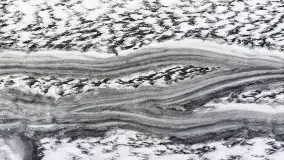 Zima nad jeziorem Dargin, styczeń 2024 r. - zdjęcie 8