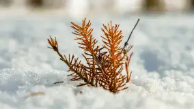 Biwak ekipy Mazury24 nad jeziorem Kruklin, styczeń 2024 r. - zdjęcie 23