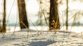 Biwak ekipy Mazury24 nad jeziorem Kruklin, styczeń 2024 r. - zdjęcie 36