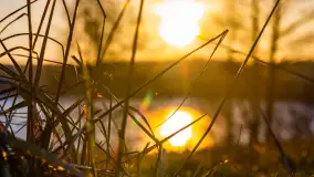 Wschód słońca z resztkami zimy nad jeziorem Siercze, styczeń 2024 r. - zdjęcie 17