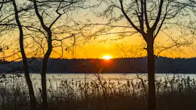 Wschód słońca z resztkami zimy nad jeziorem Siercze, styczeń 2024 r. - zdjęcie 11