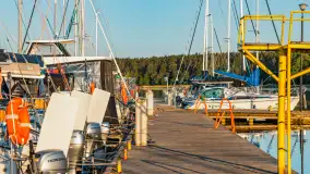 Wschód słońca w Bocianim Gnieździe, czerwiec 2023 r. - zdjęcie 14