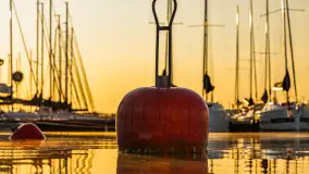 Wschód słońca w Bocianim Gnieździe, czerwiec 2023 r. - zdjęcie 13