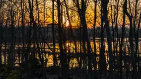 Mazurski zachód słońca odbity w rozlewiskach, luty 2024 r. - zdjęcie 26