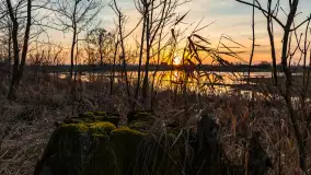 Mazurski zachód słońca odbity w rozlewiskach, luty 2024 r. - zdjęcie 17