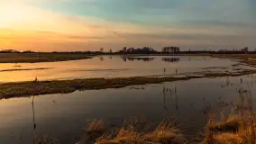 Mazurski zachód słońca odbity w rozlewiskach, luty 2024 r. - zdjęcie 9