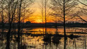 Mazurski zachód słońca odbity w rozlewiskach, luty 2024 r. - zdjęcie 21