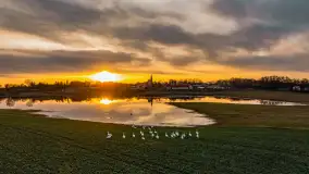 Zachód i rozlewiska przy Karolewie, luty 2024 r. - zdjęcie 15