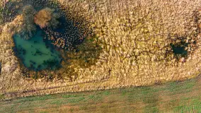 Przedwiośnie i mazurskie rozlewiska na polach i łąkach, luty 2024 r. - zdjęcie 27