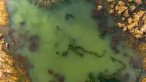 Przedwiośnie i mazurskie rozlewiska na polach i łąkach, luty 2024 r. - zdjęcie 12