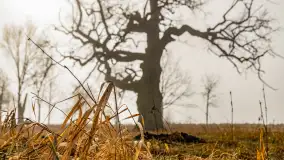 Mgliste Mazury, luty 2024 r. - zdjęcie 22