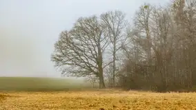 Mgliste Mazury, luty 2024 r. - zdjęcie 25