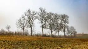 Mgliste Mazury, luty 2024 r. - zdjęcie 11