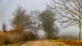 Mgliste Mazury, luty 2024 r. - zdjęcie 4