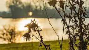 Przed zachodem słońca nad jeziorem Grajewko, luty 2024 r. - zdjęcie 39