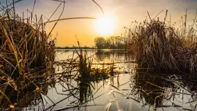 Przed zachodem słońca nad jeziorem Grajewko, luty 2024 r. - zdjęcie 1