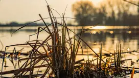 Przed zachodem słońca nad jeziorem Grajewko, luty 2024 r. - zdjęcie 21