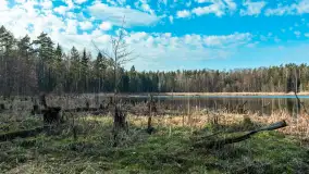 Jezioro Jagoczany, przedwiośnie, marzec 2024 r.  - zdjęcie 3