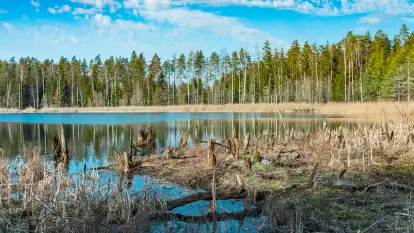 Jezioro Jagoczany, przedwiośnie, marzec 2024 r. 