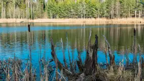 Jezioro Jagoczany, przedwiośnie, marzec 2024 r.  - zdjęcie 22