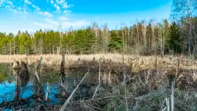 Jezioro Jagoczany, przedwiośnie, marzec 2024 r.  - zdjęcie 24