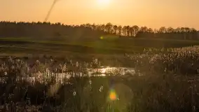 Zachód słońca nad stawami w Martianach, marzec 2024 r. - zdjęcie 25
