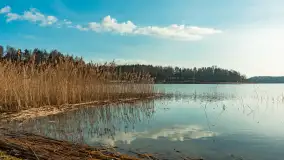 Przedwiośnie w Strandzie w Giżycku, luty 2024 r. - zdjęcie 25