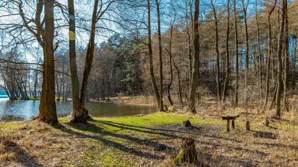 Marcowy dzień nad zatoką Skonał - zdjęcie 5