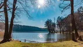 Marcowy dzień nad zatoką Skonał - zdjęcie 14