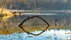 Marcowy dzień nad zatoką Skonał - zdjęcie 51
