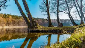 Marcowy dzień nad zatoką Skonał - zdjęcie 33