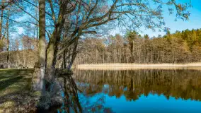 Marcowy dzień nad zatoką Skonał - zdjęcie 46