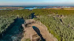 Marcowy dzień nad zatoką Skonał - zdjęcie 60