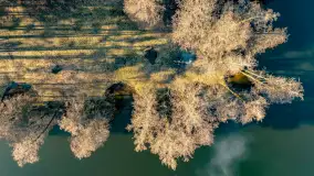 Marcowy dzień nad zatoką Skonał - zdjęcie 43