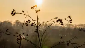 Zachód słońca nad Mazurskimi polami, Wopławki, marzec 2024 r. - zdjęcie 2