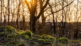 Zachód słońca nad Mazurskimi polami, Wopławki, marzec 2024 r. - zdjęcie 9