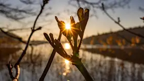 Zachód słońca w zatoce Skonał, nad jeziorem Tałty, marzec 2024 r. - zdjęcie 10