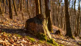 Zachód słońca w zatoce Skonał, nad jeziorem Tałty, marzec 2024 r. - zdjęcie 19